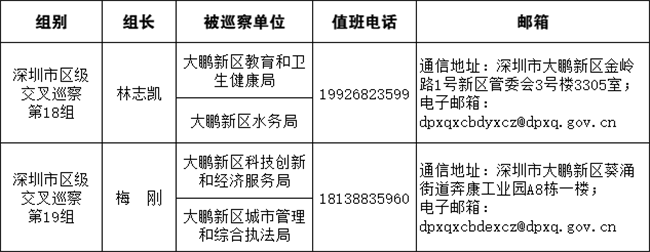 大鹏新区党工委2022年第一轮巡察完成进驻