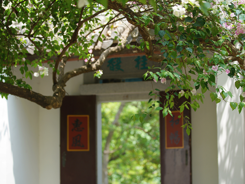 园博园：春光懒困倚微风 可爱深红爱浅红（组图）