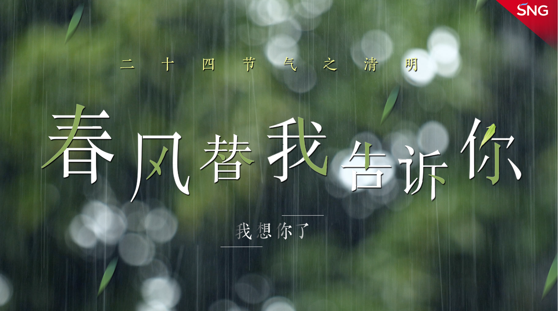 清明节：春风替我告诉你
