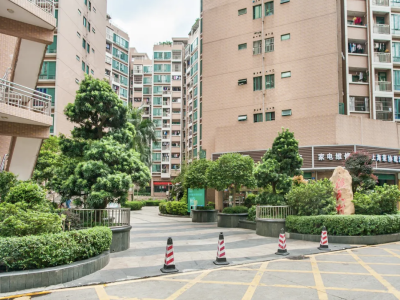 3年内，深圳所有住宅小区成立业委会！