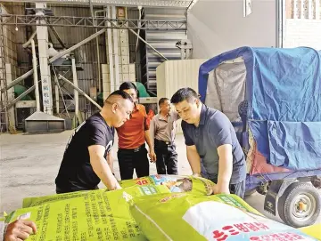 宝安驻河源龙川工作队免费发放种子化肥 让撂荒地变成“希望田”