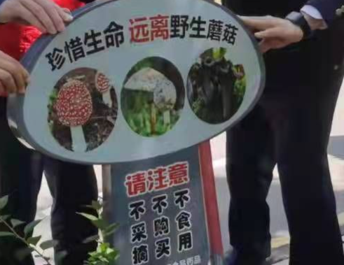 深圳市公园管理中心提醒：观景游玩时切勿采食蘑菇竹笋，有中毒风险！