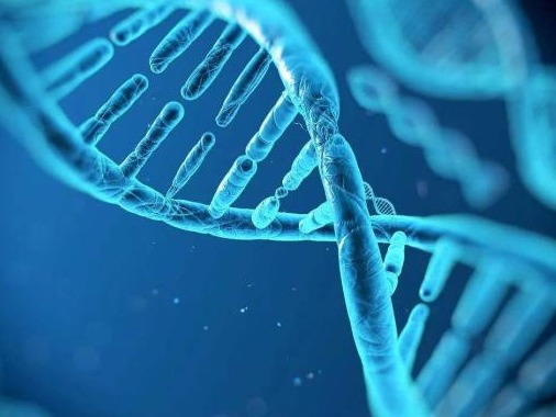 多家研究机构合作开展“人类泛基因组项目”，可促进疾病防治
