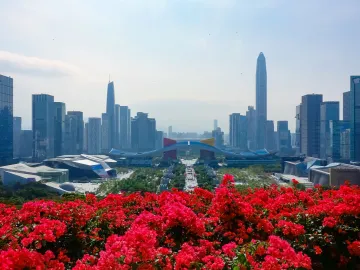 深圳：经济领域改革大步向前，城市竞争力不断增强