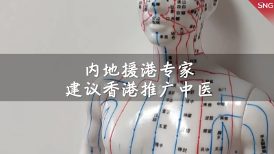 内地援港专家建议香港推广中医