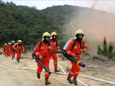 深圳消防300余人开展森林火灾扑救演练