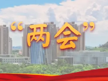 【两会先声①】这些“好声音”，听见坪山的幸福…