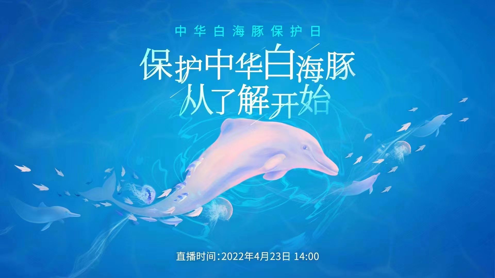 直播回顾｜中华白海豚保护宣传日：云看粉色水精灵日常生活与季度体检