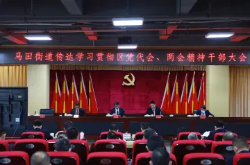 马田街道瞄准光明区发展战略目标 在率先打造“三地”中有所作为再立新功