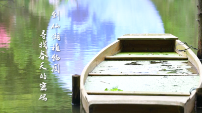 IN视频 | 今日深圳：到仙湖植物园，寻找春天的密码