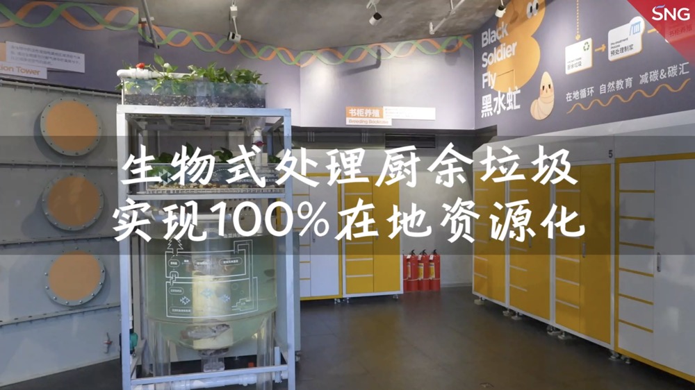 深圳用黑水虻实现厨余垃圾在地资源化