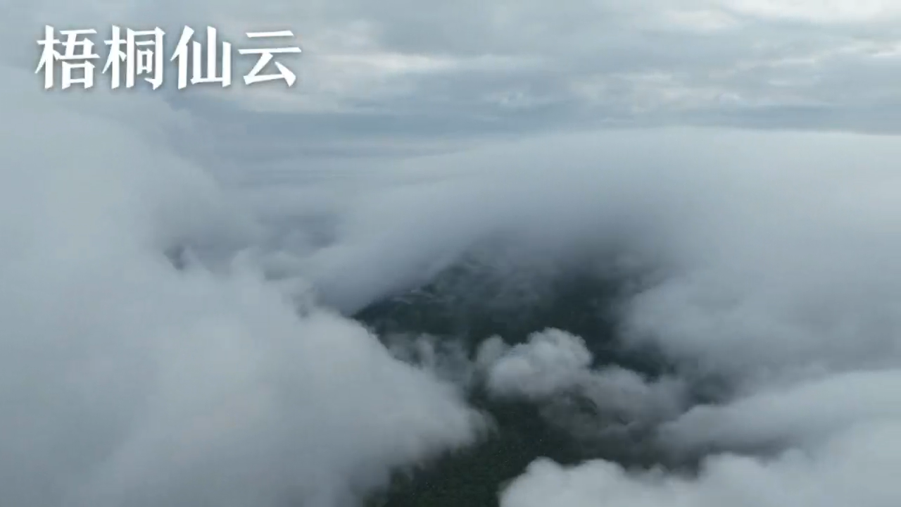 登临梧桐山顶，共赏绝美仙云