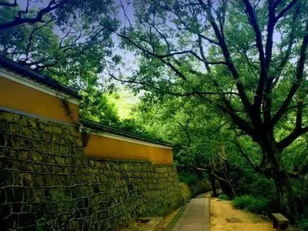 禅房花木深