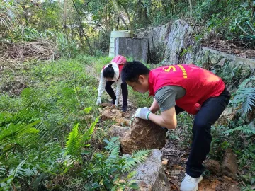 宝安区远足径郊野径建设志愿者招募啦