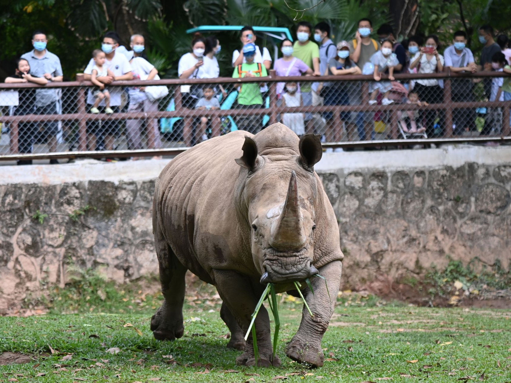 五一假期深圳野生动物园开启“动物科普季”，全家老小都爱！