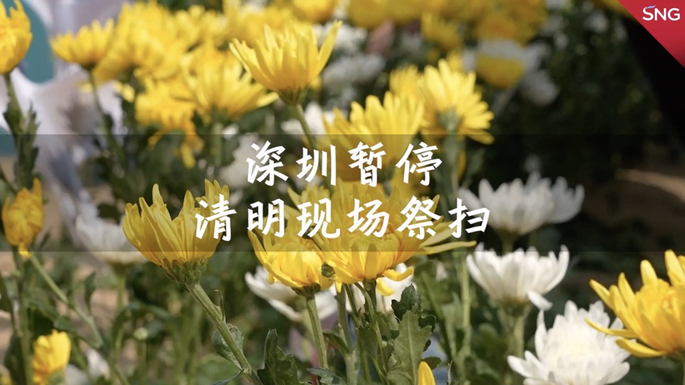 深圳暂停清明现场祭扫