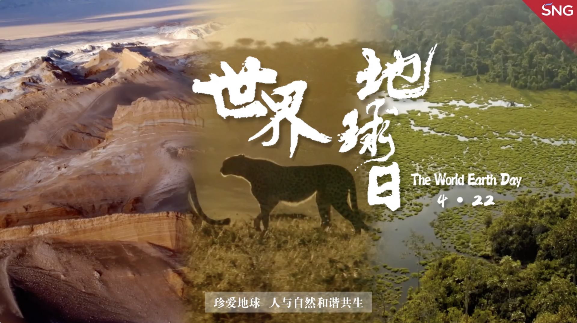 做地球的守护者