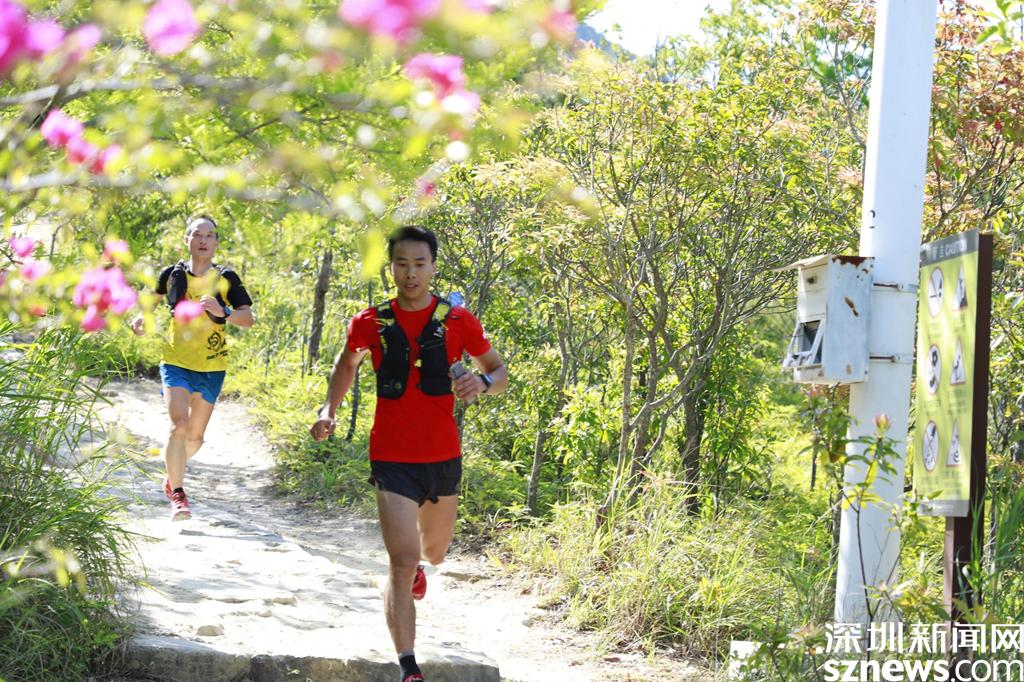 8小时19分钟登10峰！深圳十峰勇士人车接力赛再掀运动热潮