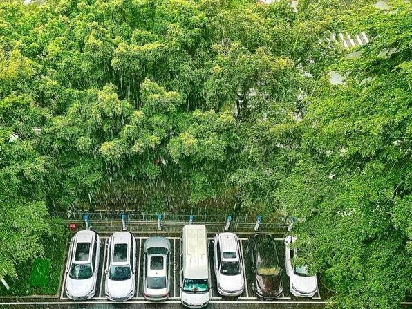 雨水频现、高温反复——近期天气形势为何如此复杂？