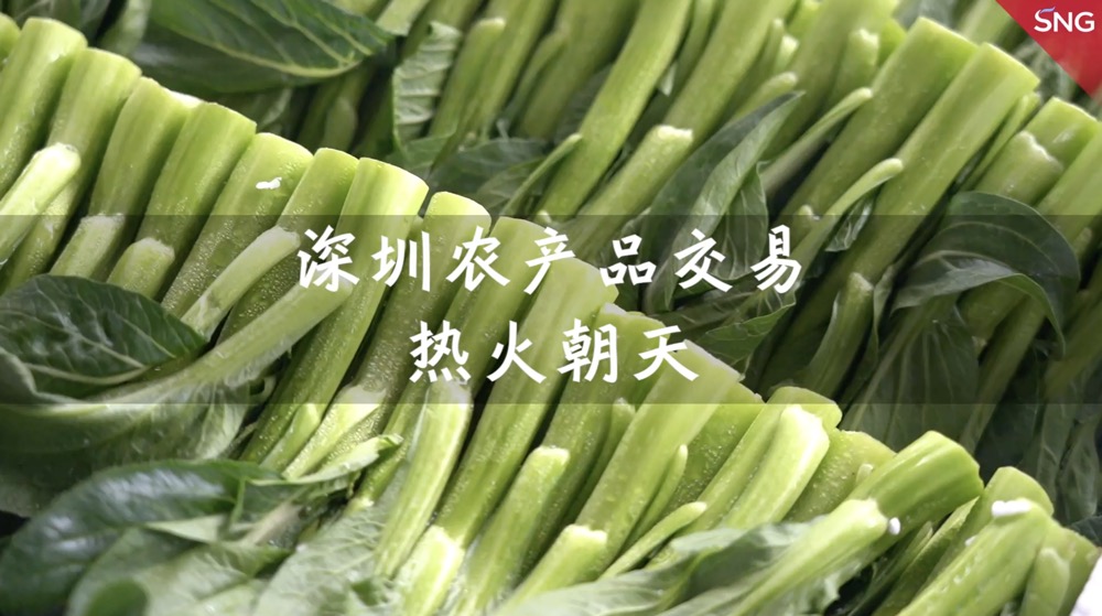 深圳农贸市场繁忙有序热火朝天