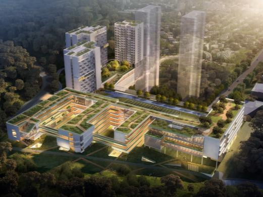 可跨区组建教育集团！深圳市公办中小学集团化办学又有新举措
