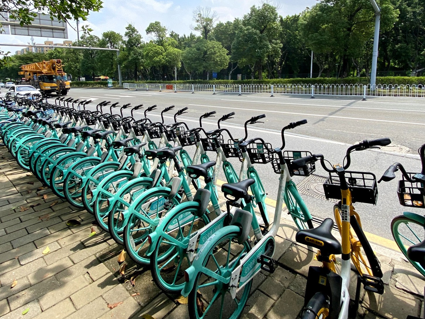 广州共享单车适宜规模较2018年减少