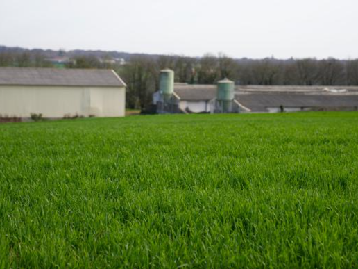 法国农民用农作物生产“沼气”以缓解对俄制裁带来的能源问题