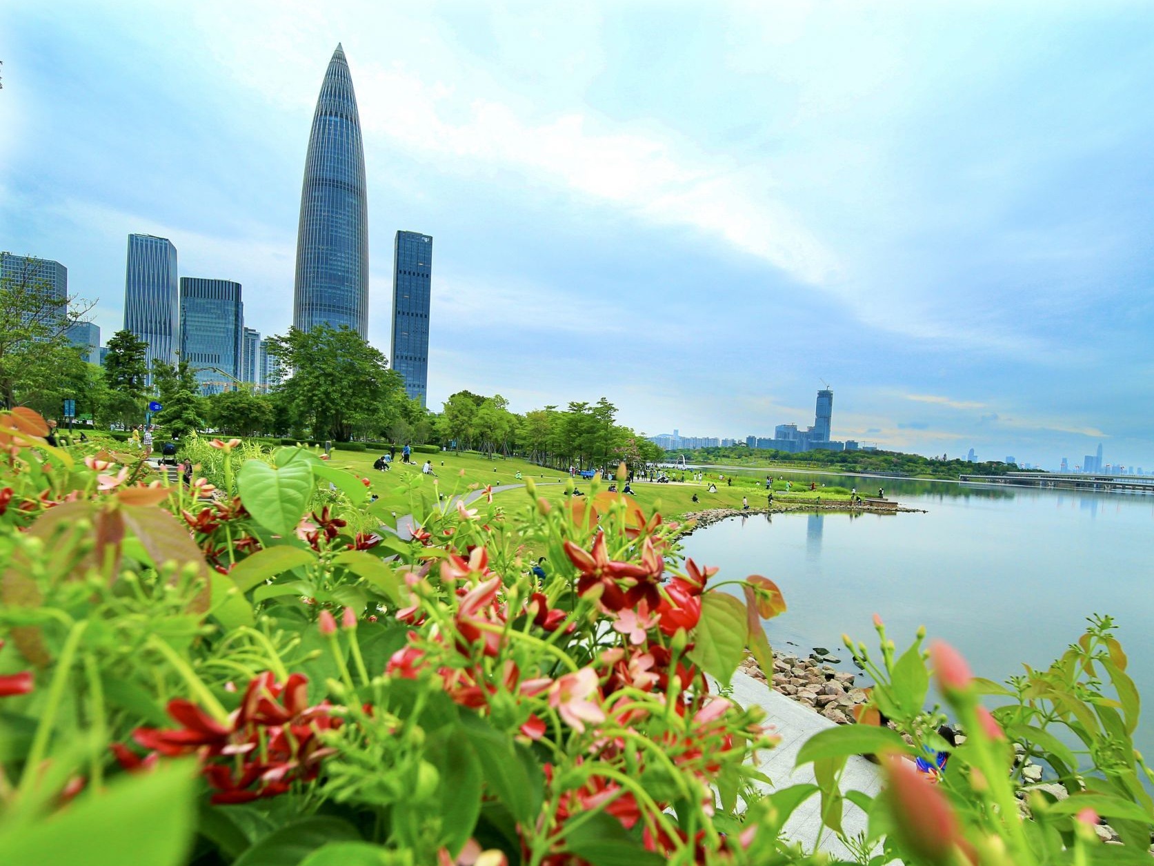 深圳全市公园有序恢复游园