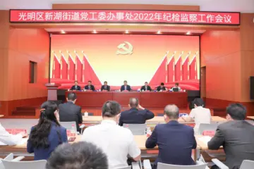 充分发挥全面从严治党引领保障作用，推动廉洁新湖高质量发展——新湖街道召开2022年纪检监察工作会议