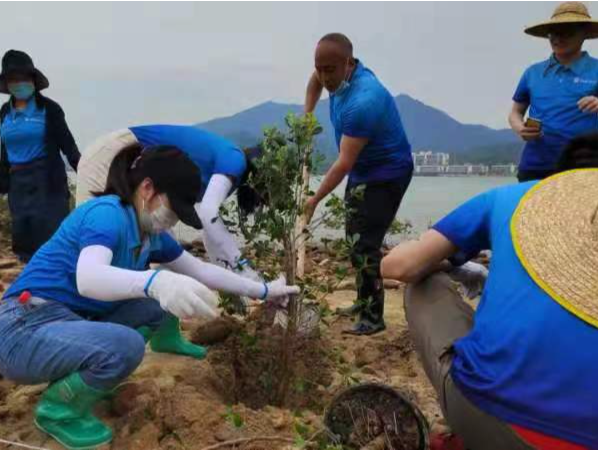 保护红树林！深圳这场环保公益活动吸引200多志愿者参与
