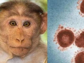 美国疾控中心：在美国7个州确认9例猴痘病例