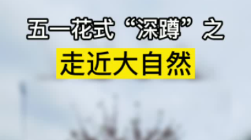 五一花式“深蹲”之走近大自然