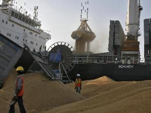 印度政府宣布放宽小麦出口禁令