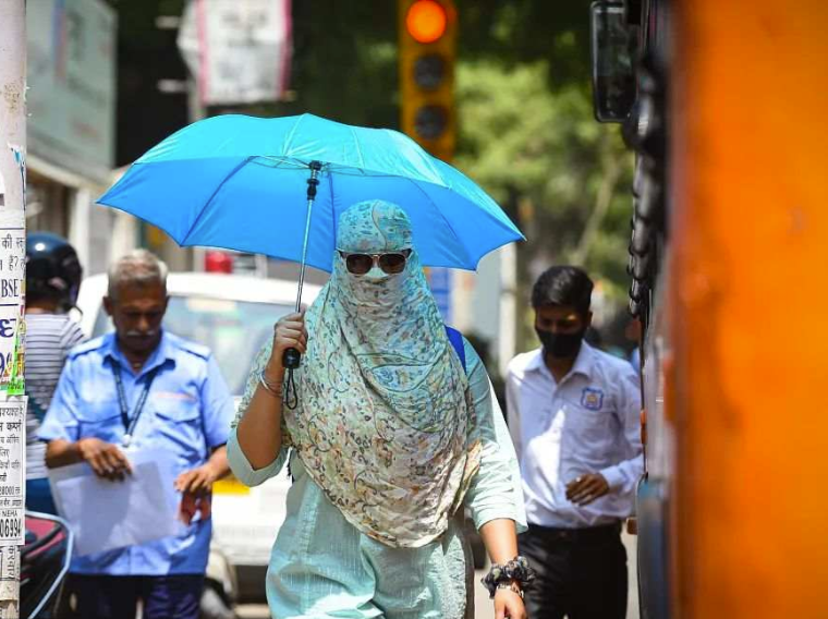 印度首都遭遇异常高温天气 部分地区超49摄氏度