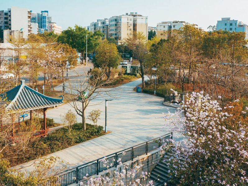 惠州：令人向往的现代优美花园城市 