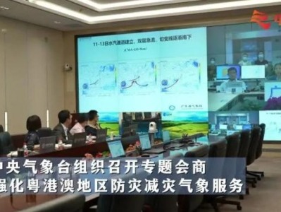 中央气象台与粤港澳气象部门会商应对强降水天气