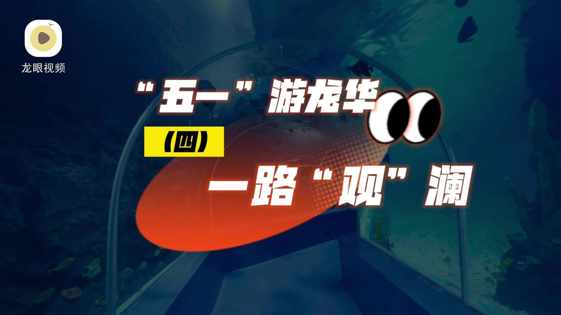 “五一”游龙华 ：一路“观”澜