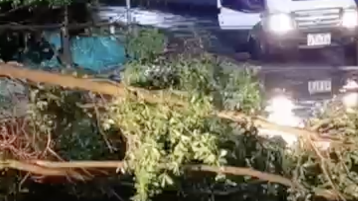 （暂不发）暴雨天，深圳武警官兵第一时间清理倒伏树干