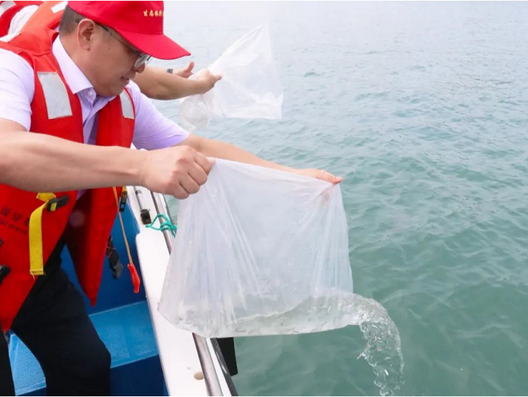 深汕携手：涵养海洋生物资源促进乡村生态振兴