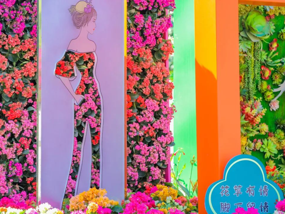 一起探秘！看福田如何“绣”出城区幸福感