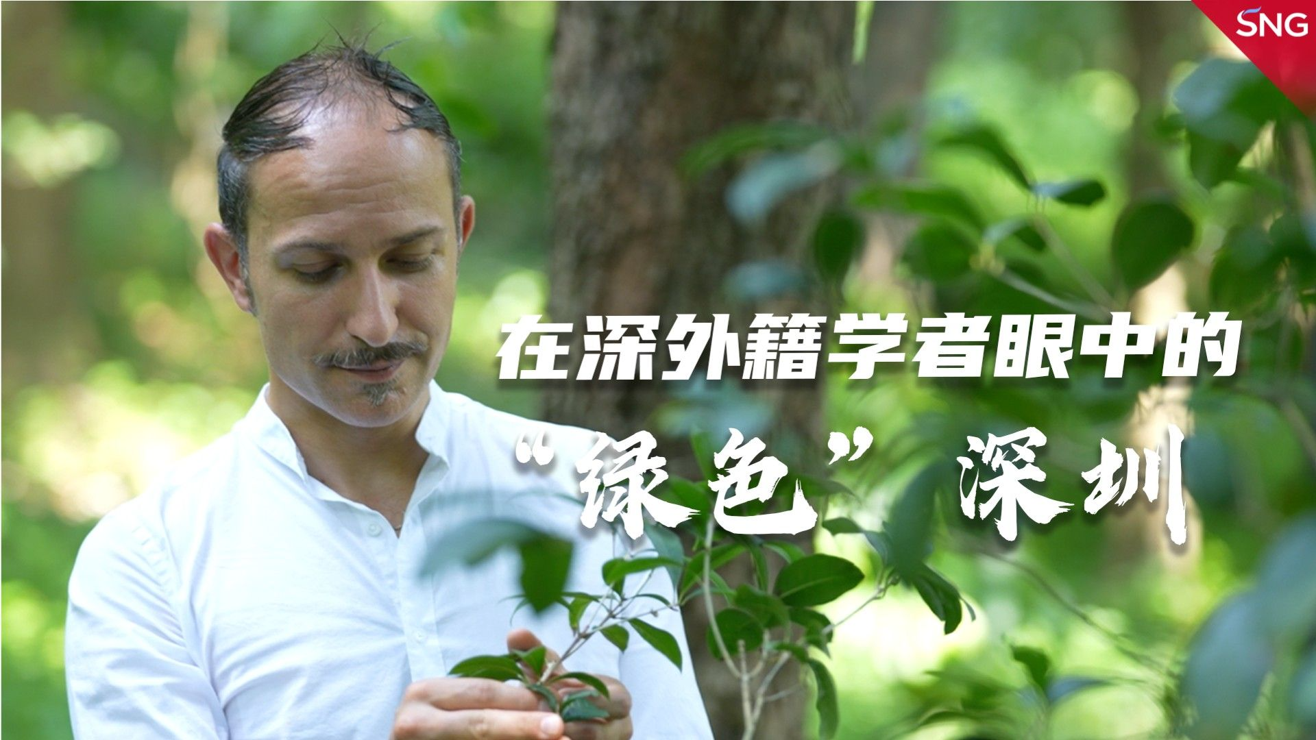 在深外籍学者眼中的绿色之城
