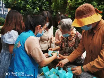 马田街道“V爱之家”举办园艺活动“拥抱绿色 放飞心情”