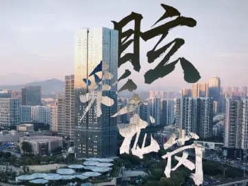 我们的新时代 | 眩彩龙岗