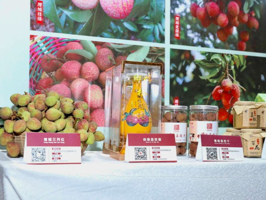 广州荔枝采摘上市，今年将有巨美人、无核、岭丰糯等新品种