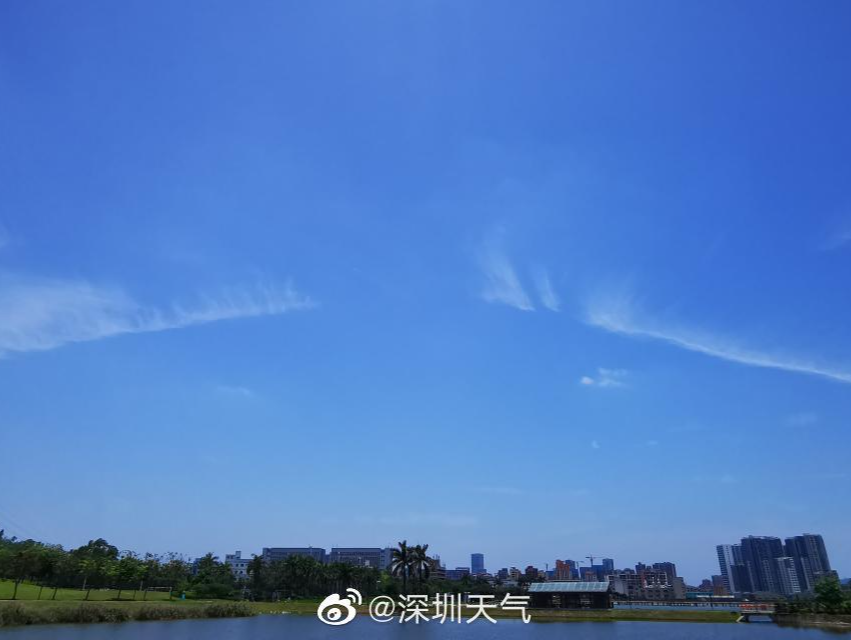 你好，晴天！久违的深圳蓝刷屏，新一波阴雨即将上线……