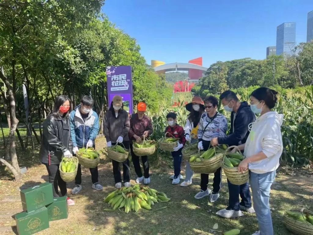 福田很火的“市民农田”上新啦！这次种植的是→