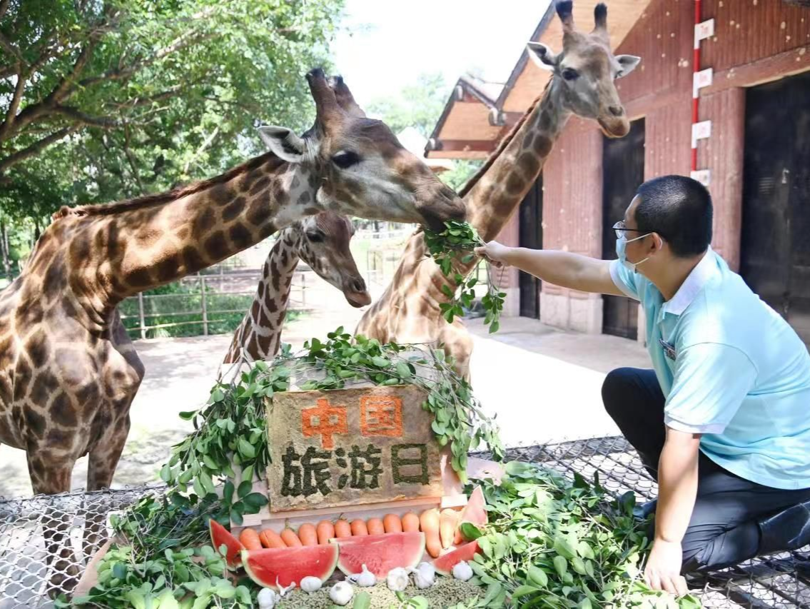 深圳野生动物园动物也来喜迎“中国旅游日”