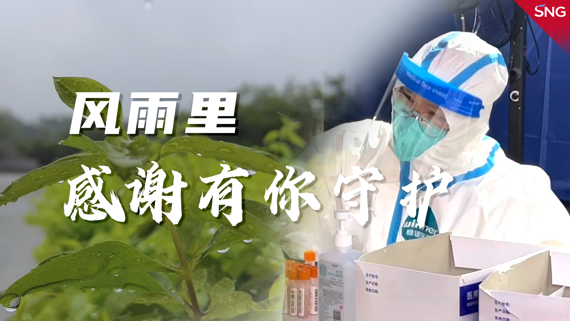谢谢你！那些为我遮风挡雨的人