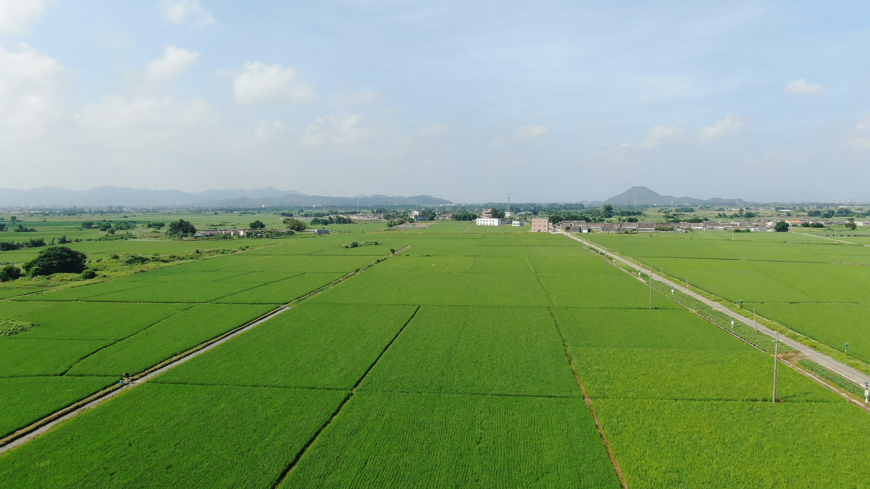 海丰县可塘镇持续推进农田水利“最后一公里”建设