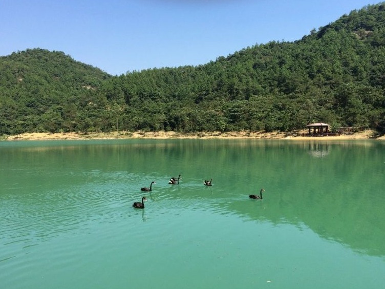 17日起增城白江湖森林公园恢复开放